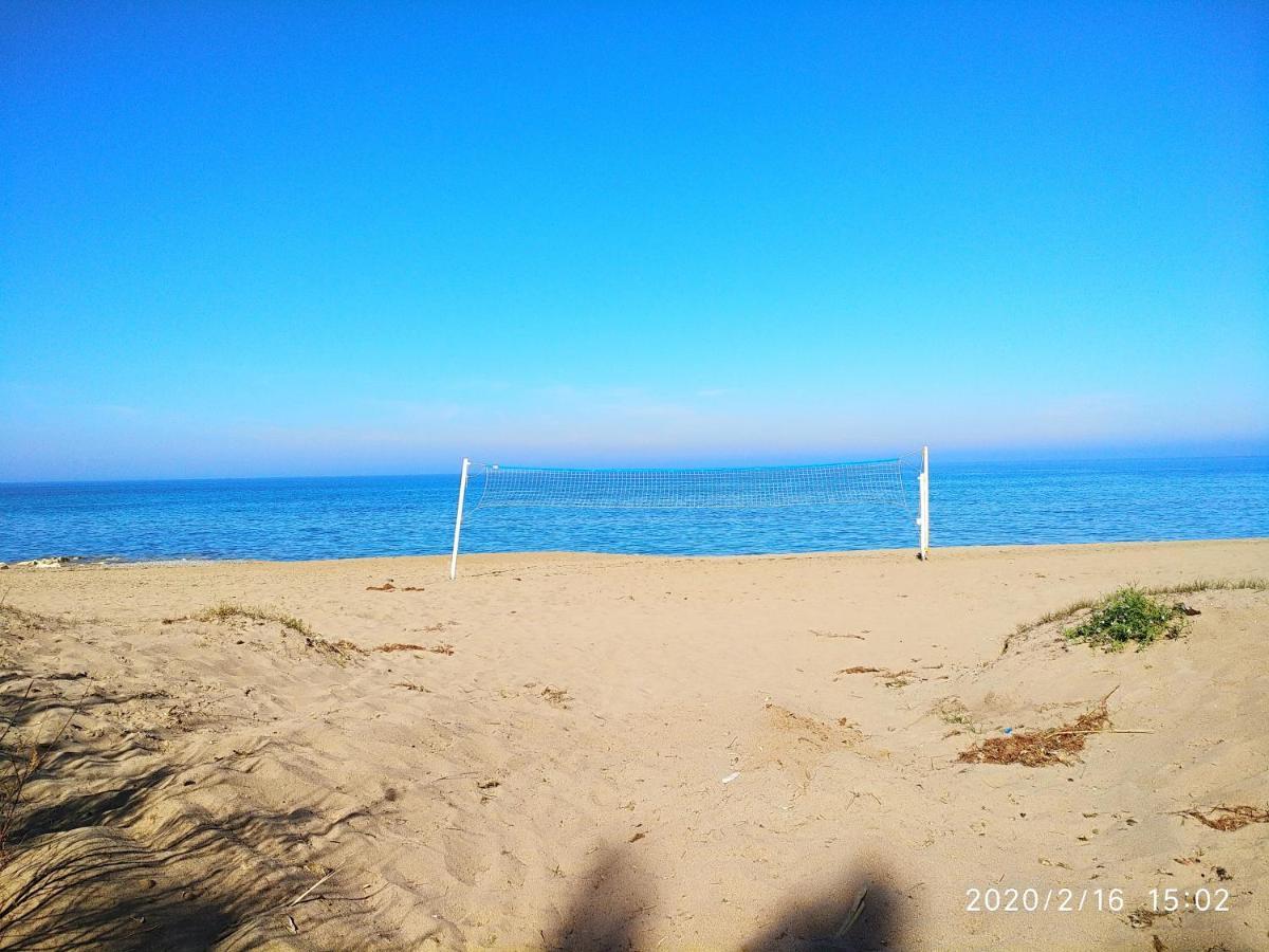 Estupendo Apartamento En Primera Linea De Playa Y Con Vistas Al Mar デニア エクステリア 写真