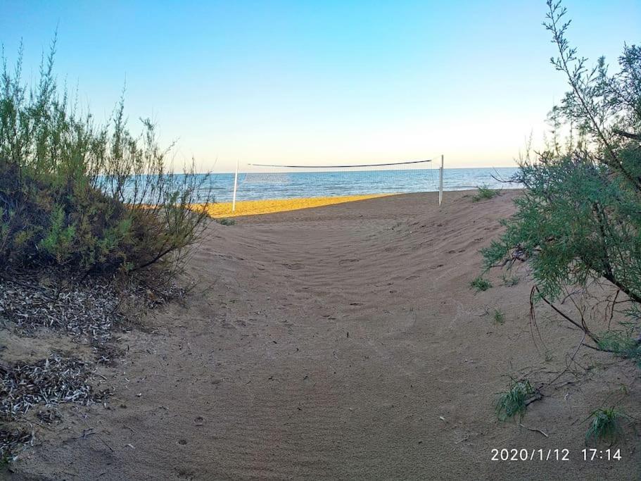 Estupendo Apartamento En Primera Linea De Playa Y Con Vistas Al Mar デニア エクステリア 写真